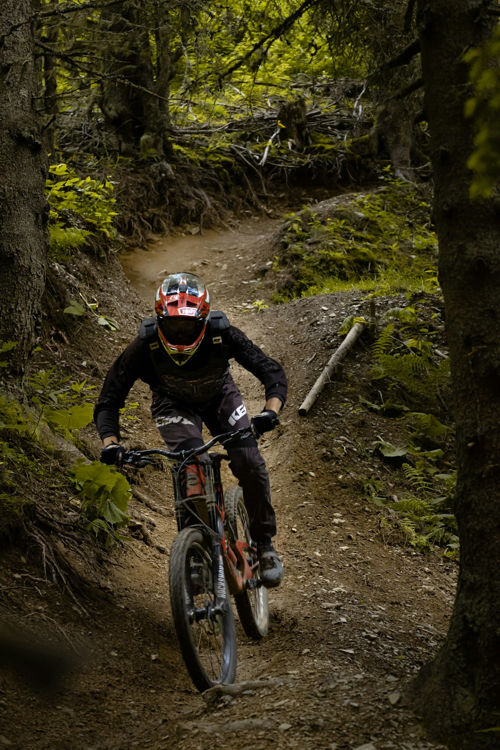 Mountain bike trail in the Colorado backcountry